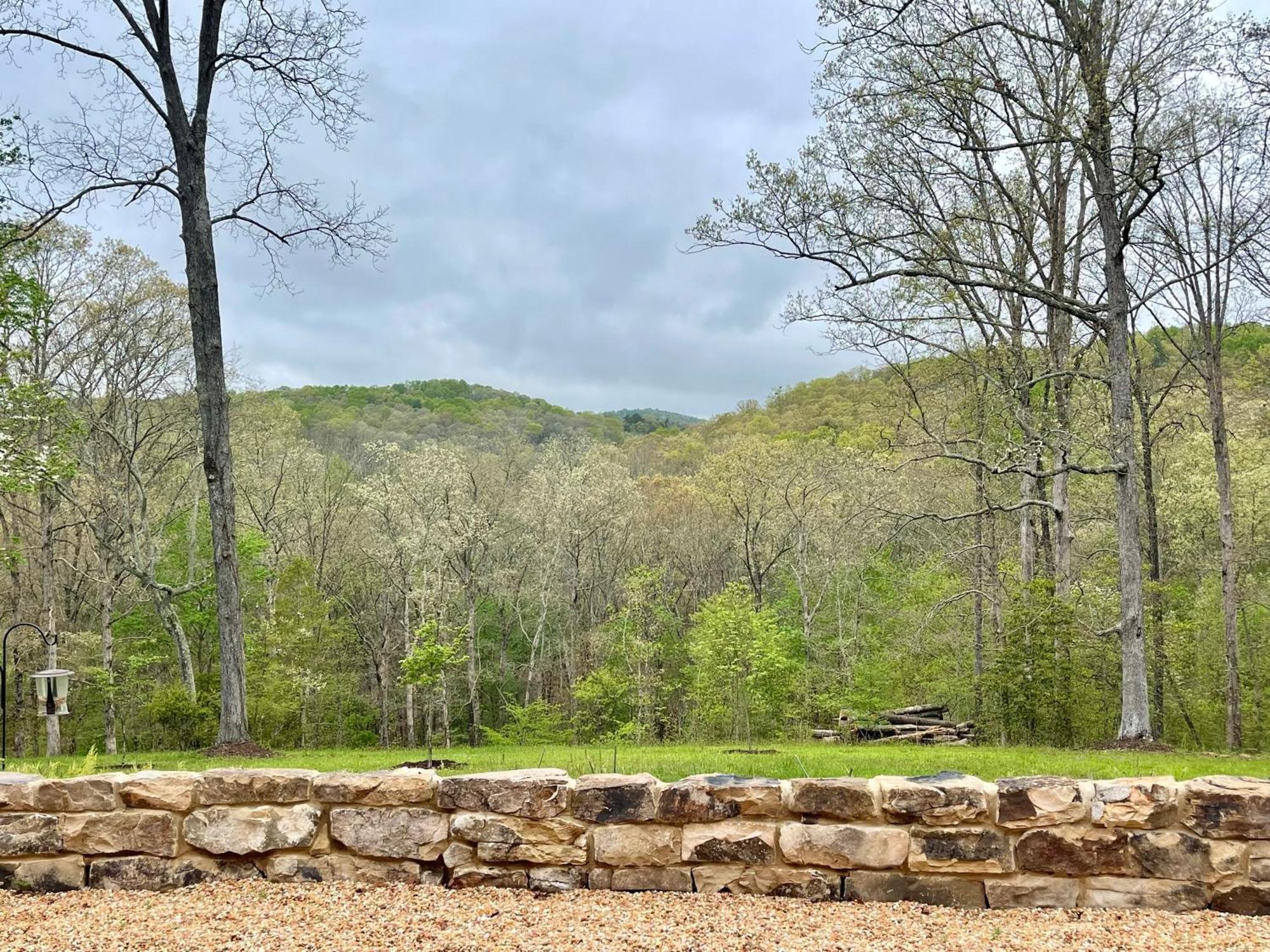 The Dogwood Inn Blue Ridge Exteriör bild